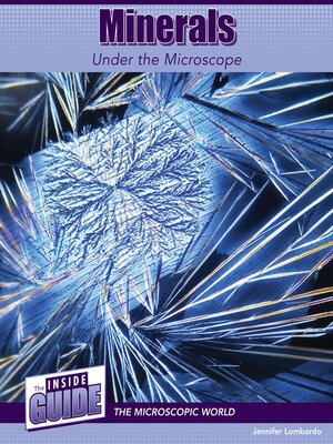 cover image of Minerals Under the Microscope